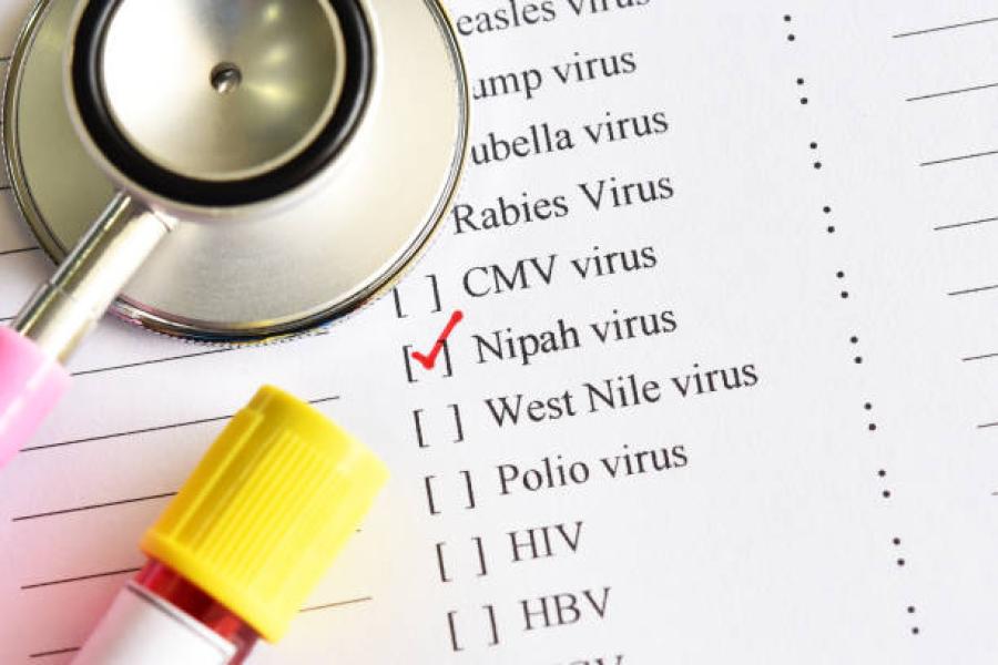 Gambar Apa itu Virus Nipah? Waspada dan Kurangi Risiko Penularannya dengan  Langkah Ini! 